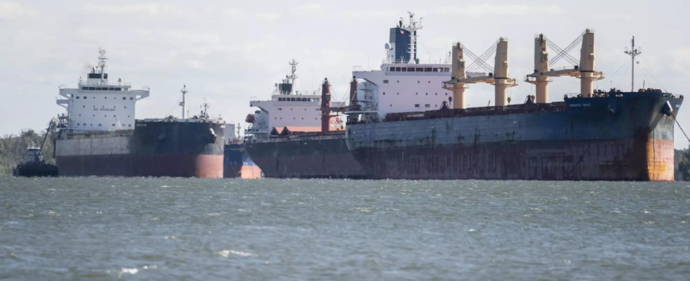 Mehrere Vermisste nach Kollision zweier Frachtschiffe in der Nordsee Deutsche