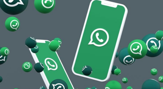 Mit der neuen Funktion von WhatsApp koennen Benutzer einen schnellen