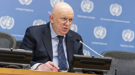 Naher Osten am Rande eines ausgewachsenen Krieges – russischer UN Botschafter