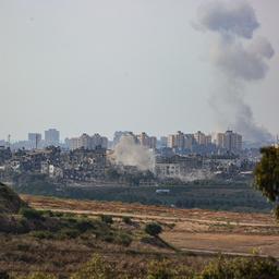 Niederlaenderin 33 starb im Gazastreifen Im Ausland