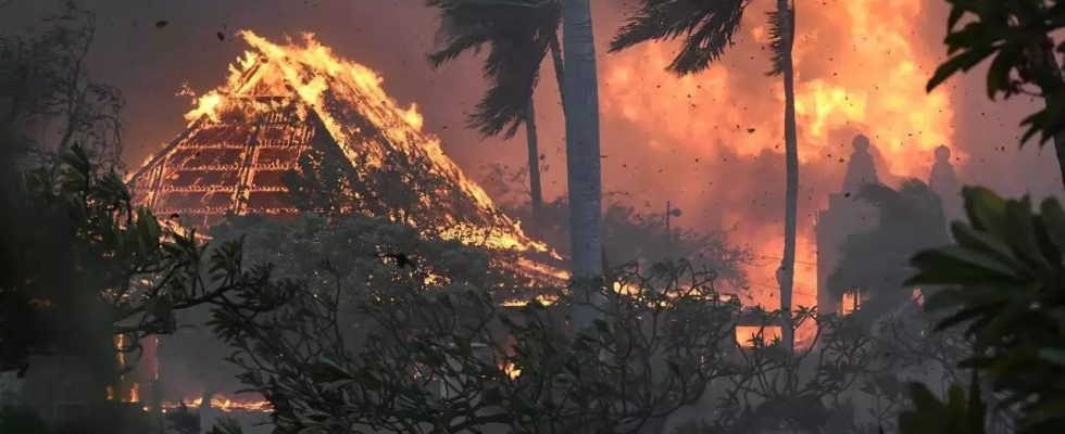Notrufe wegen des toedlichen Waldbrandes in Lahaina zeigen wie verzweifelt