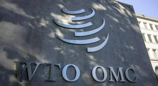 Oeffentliche Lebensmittelvorraete Indien fordert WTO Mitglieder auf textbasierte Gespraeche ueber die