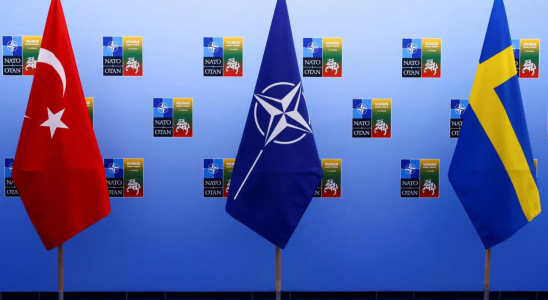 Parlament Tuerkische Parlamentskommission soll schwedisches Nato Angebot pruefen