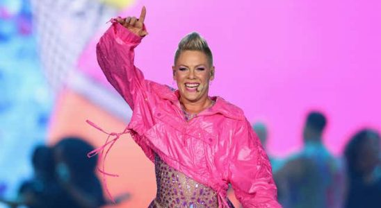Pink sagt kommende Shows wegen „familienmedizinischer Probleme ab