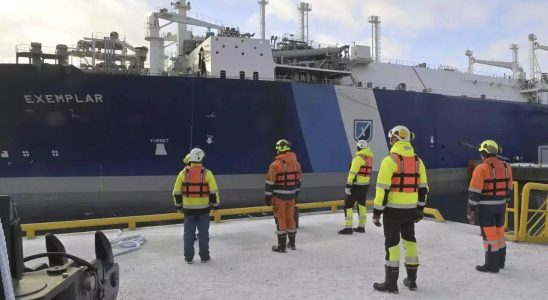 Pipeline Schaden Nato reagiert wenn Ostsee Pipeline vorsaetzlich beschaedigt wird Buendnischef