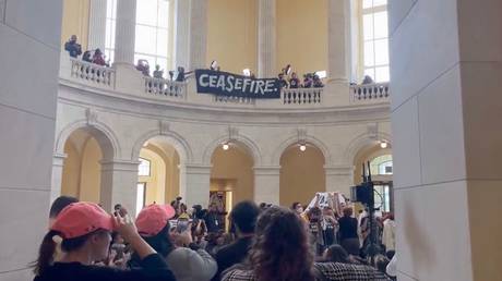 Pro palaestinensische Demonstranten dringen in das US Kapitol ein – World