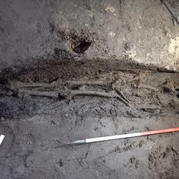 Seltener Fund in Groningen zwei Skelette aus dem fruehen Mittelalter