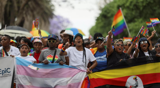 Suedafrika Johannesburg Pride marschiert fuer LGBTQ Ugander nach der Verabschiedung eines