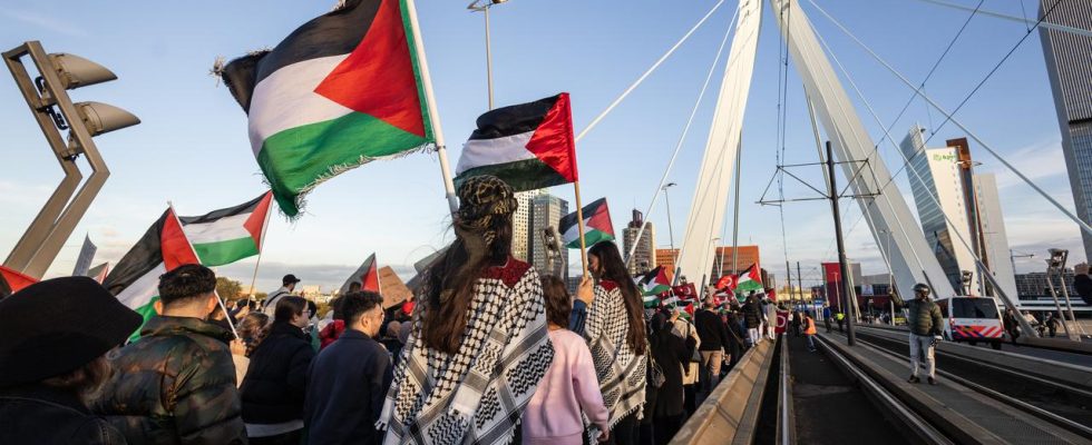 Tausende Demonstranten gehen in Rotterdam fuer den Gazastreifen auf die