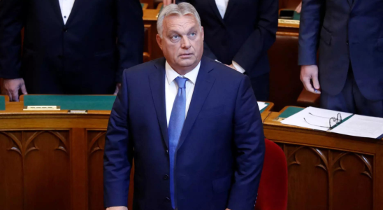 Terrorismus Ungarn verbietet Kundgebungen zur Unterstuetzung „terroristischer Organisationen Premierminister Orban
