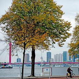 Wechselhafte Herbstwoche mit stuermischem Wetter Wettervorhersage