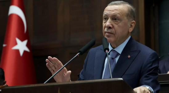 Westlicher „Hauptschuldiger hinter dem „Massaker im Gazastreifen Recep Tayyip Erdogan