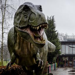 Zum ersten Mal werden Dinosaurierfedern in den Niederlanden ausgestellt