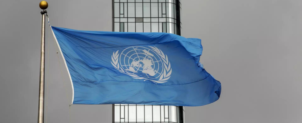 15 UN Friedenstruppen eines aus Nordmali abziehenden Konvois wurden durch zwei