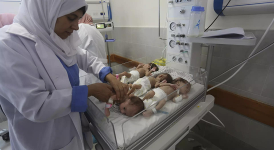 28 Gaza Babys nach Aegypten evakuiert da Hamas einen toedlichen Krankenhausangriff