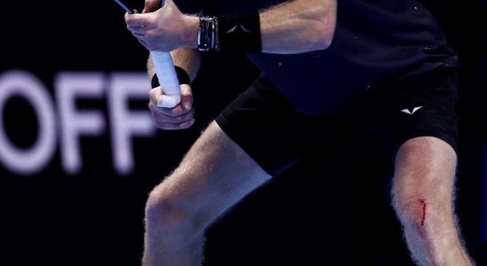 Alcaraz schlaegt Rublev bei den ATP Finals nach einem bemerkenswerten