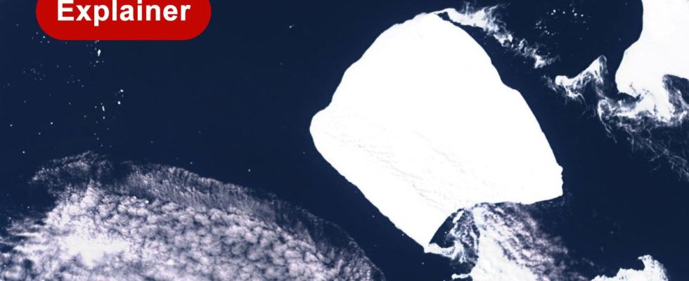 Die groesste Eisscholle der Welt bewegt sich nach dreissig Jahren