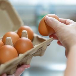 Eier aus Freilandhaltung bleiben trotz neuer Kaefigpflicht in Supermaerkten