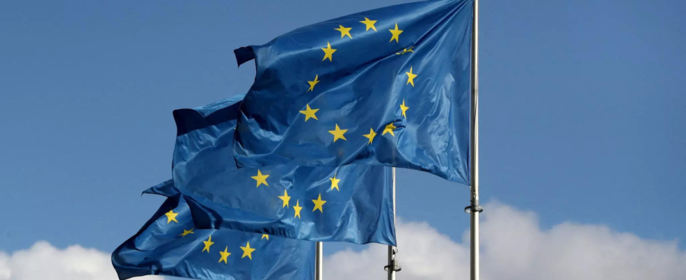 Europaeische Union EU Gesetzgeber lehnen Vorschlag ab den Einsatz chemischer Pestizide