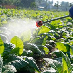 Europaeisches Parlament blockiert Plan zur Halbierung von Pestiziden bis 2030