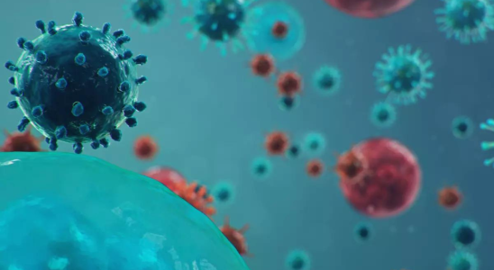 Grossbritannien bestaetigt den ersten Fall einer Schweinegrippe beim Menschen