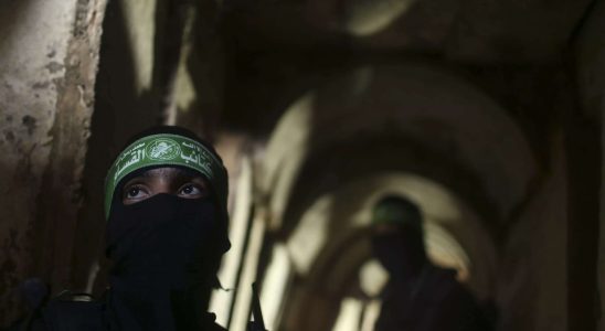 Hamas Israel greift Hamas Tunnel mit Kampfhunden und „Schwammbomben an