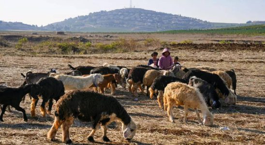 Libanesische Hirten Leichen libanesischer Hirten gefunden auf die israelische Streitkraefte