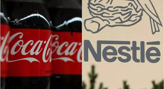 Nestle Das tuerkische Repraesentantenhaus verbietet Coca Cola und Nestle aus seinen