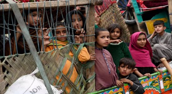 Pakistanische Cricket Nationalmannschaft „Babys leiden Afghanen haben am ueberfuellten Grenzuebergang Angst