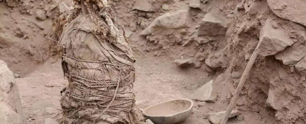 Peruanische Archaeologen graben in Limaso 1000 Jahre alte Mumien von