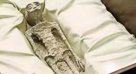 Peruanische Mumien „Ausserirdische Leichen werden dem mexikanischen Kongress zum zweiten
