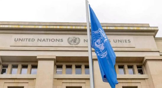 Philippinen Aufstaendische Kraefte der Philippinen „operieren ungestraft sagt UN Experte