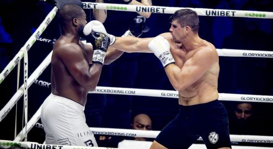 Rico Verhoeven besiegt Osaro und bleibt weiterhin Schwergewichts Champion Sport