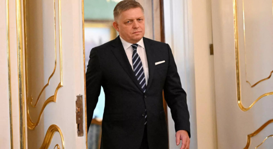 Slowakei Neue slowakische Regierung lehnt letztes Militaerhilfepaket fuer die Ukraine