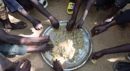Sudanesische Fluechtlingskinder Aerzte ohne Grenzen ist besorgt ueber unterernaehrte sudanesische