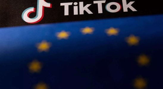 TikTok und Facebook Mutter Meta legen Berufung gegen EU „Gatekeeper Status ein