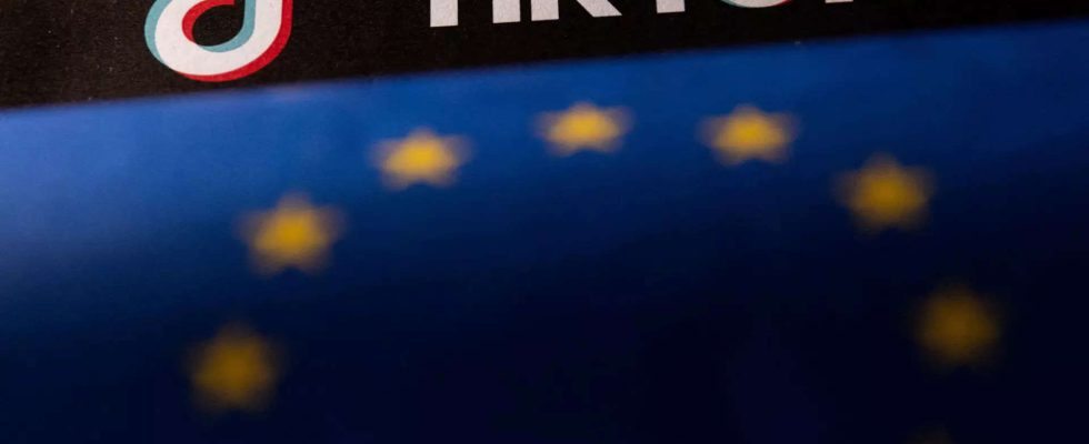 TikTok und Facebook Mutter Meta legen Berufung gegen EU „Gatekeeper Status ein