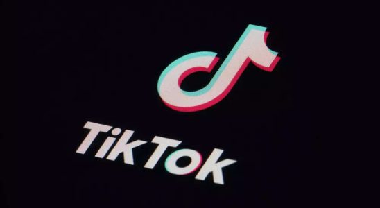 Tiktok TikTok testet KI Tool um Produkte in Videos zu identifizieren