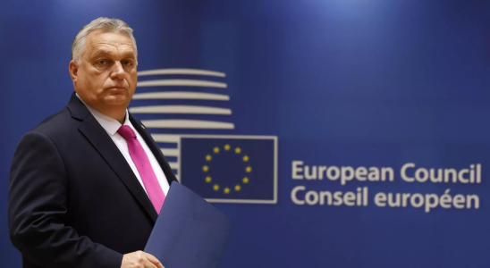 Ukraine Ungarns Viktor Orban versucht mit einer Umfrage in der