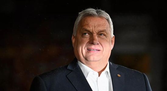 Ungarn muss die EU veraendern nicht verlassen Premierminister Viktor Orban