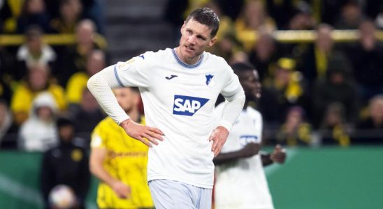Van Bommel weiter im belgischen Pokal Weghorst scheidet mit Hoffenheim