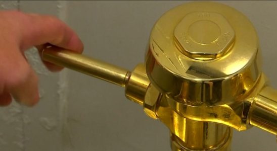 Vier Maenner im Vereinigten Koenigreich wegen Diebstahls einer goldenen Toilettenschuessel