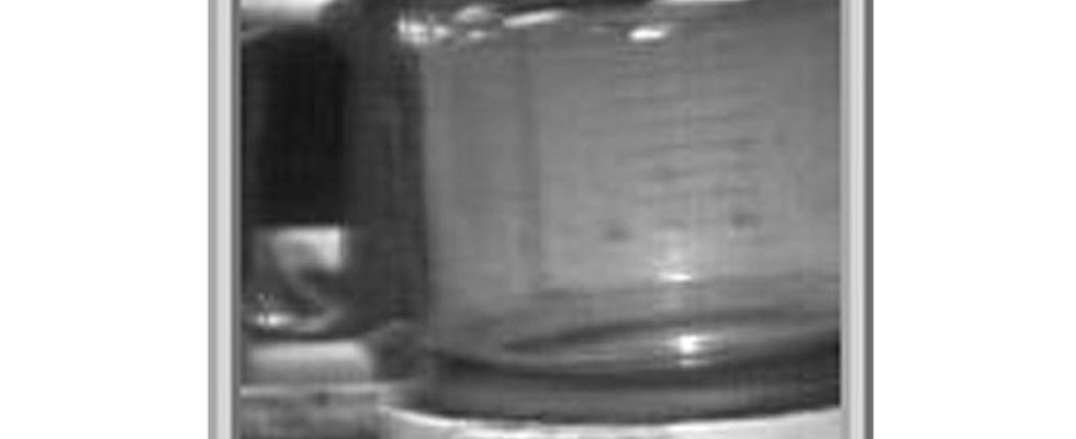 Vor dreissig Jahren erfand eine Gruppe durstiger Wissenschaftler die Webcam