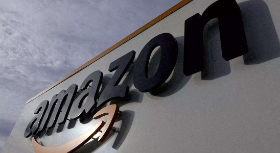 Was ist das Nessie Projekt von Amazon und warum steht es