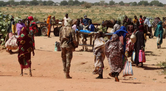 Afrikanische Vermittler behaupten Fortschritte bei den Bemuehungen den Krieg im
