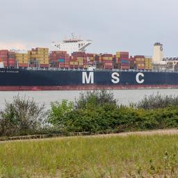 Auch die grosse Reederei MSC beschliesst das Rote Meer nach
