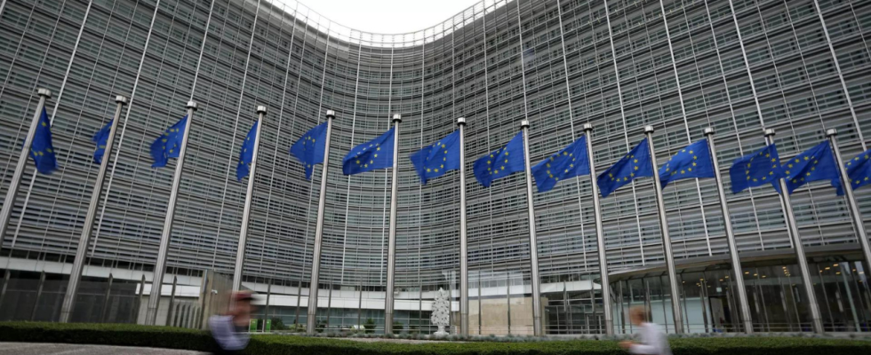 Auslaendische Einmischung Die EU will im Vorfeld der Wahlen gegen