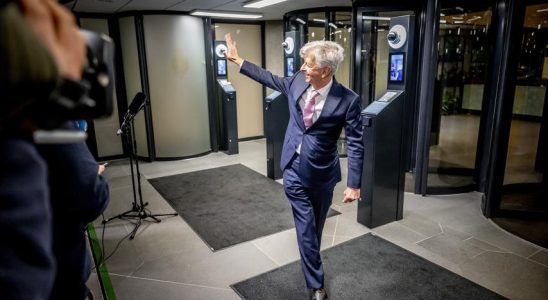 Bedenken hinsichtlich der Rechtsstaatlichkeit mit PVV an der Spitze „Werden