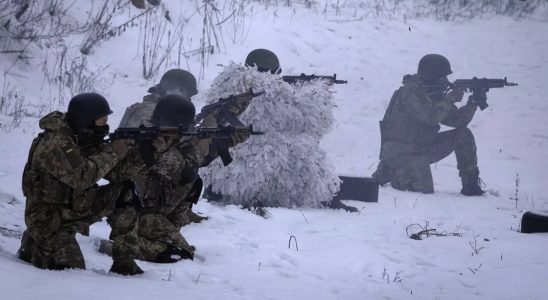 Das sibirische Bataillon Treffen Sie Russen die gegen Putins Truppen