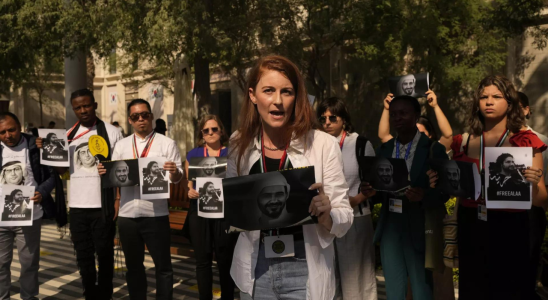 Demonstranten demonstrieren beim UN Klimagipfel COP28 fuer inhaftierte emiratische und aegyptische